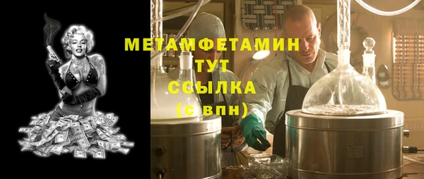 прущие грибы Корсаков