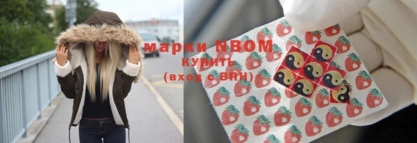прущие грибы Корсаков