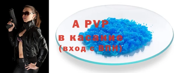 прущие грибы Корсаков