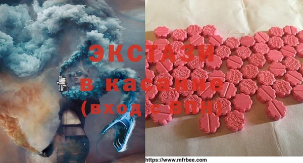 прущие грибы Корсаков