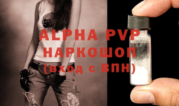 прущие грибы Корсаков