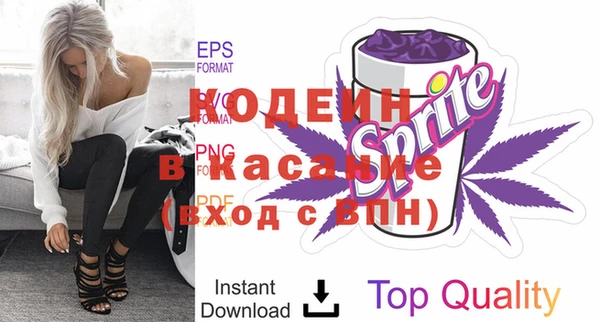 прущие грибы Корсаков