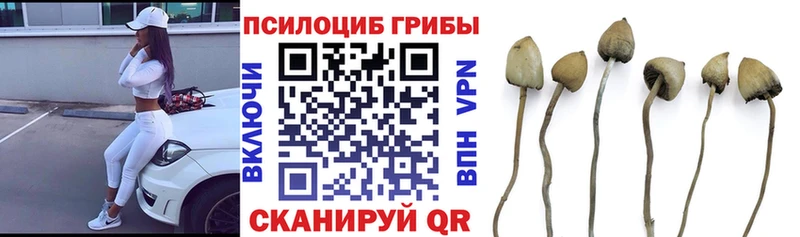 Галлюциногенные грибы ЛСД  Котово 